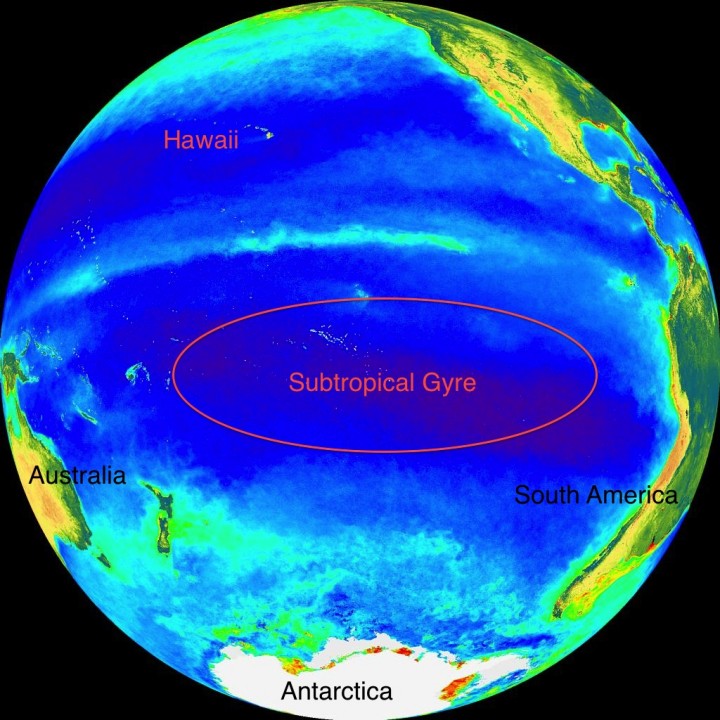 What is the Blue Pacific and why is it important?