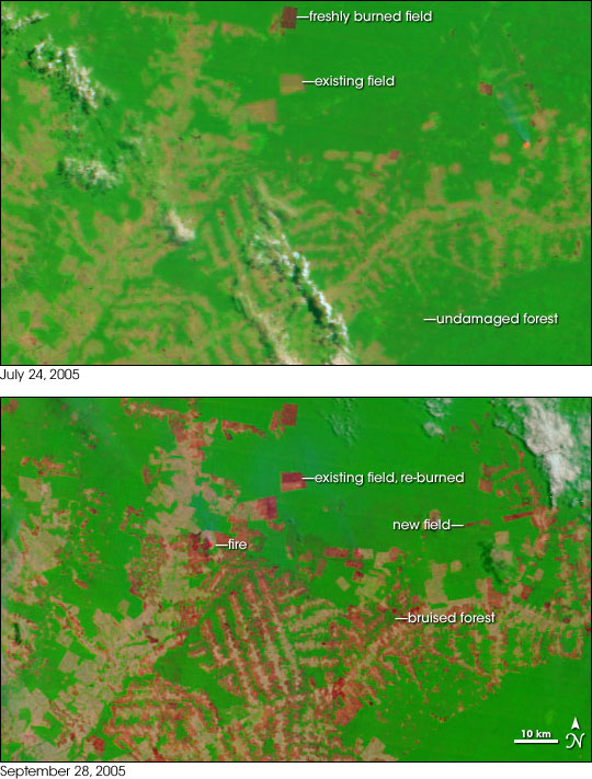 Pair of satellite images showing burning in Acre during the 2005 dry season