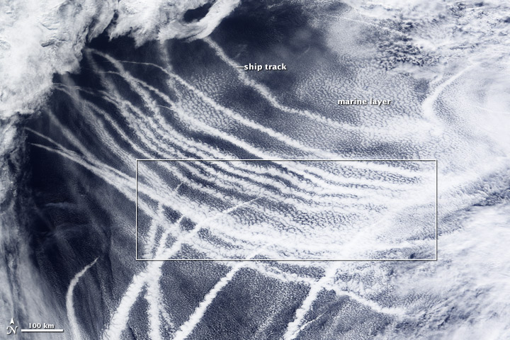Satellite image of ship tracks in the North Pacific.