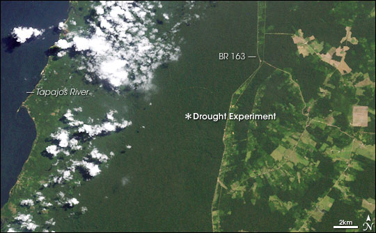 Landsat image of drought experiment site in Tapajos National Park