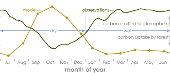 Time series of model and flux tower observations of carbon exchange in the Amazon