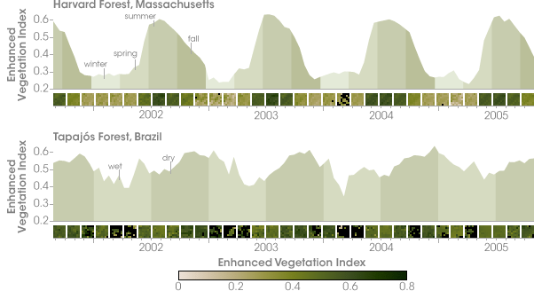 Graph comparing seasonal differences in vegetation index between a temperate forest in Massachusetts and the Amazon rainforest
