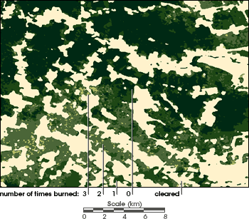 Map of Burn Frequency