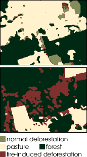 Comparison of normal and fire-induced deforestation patterns