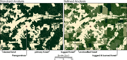 Maps of Degraded Forest