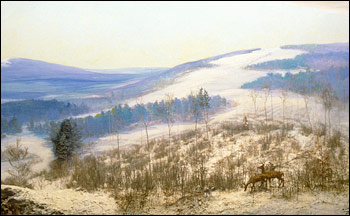 Diorama of initial forest regrowth-1915.