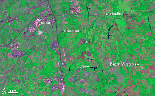 Landsat satellite image of Belt Woods and the surrounding area.