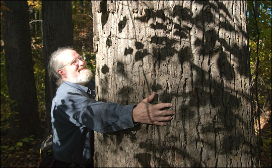 Photograph of NASA ecologist Bob Knox hugging a tree in Belt Woods.