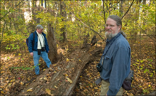 Photograph of Lou Staeyart and Bob Knox examining a fallen log in Belt Woods.