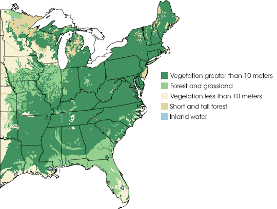 Map of land cover classes in eastern North America prior to European colonization.