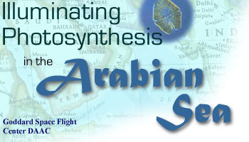 Illuminating Photosynthesis in the Arabian Sea