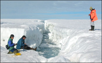 Photograph of a Crack in the Ward Hunt Ice Shelf