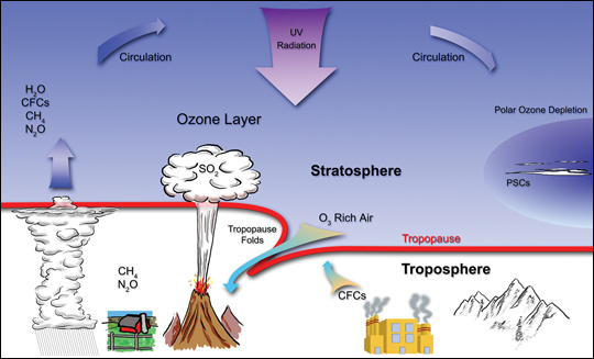Stratospheric ozone processes
