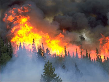 Photograph of Cerro Grande Fire, Los
Alamos