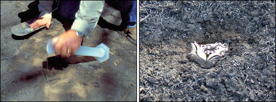 Photos of Hydrophobic Soil