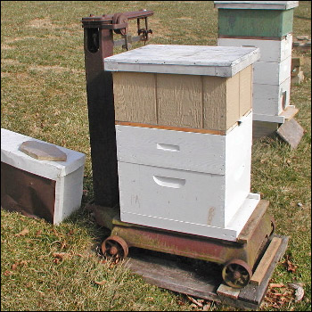 Photograph of beehive on a scale.