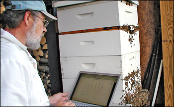Photograph of Wayne Esaias collecting data from his beehives.