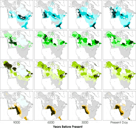 Images of Species Distribution in the
Boreal Forest over Time