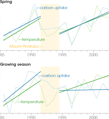 Graphs of carbon uptake and temperature in the boreal forest