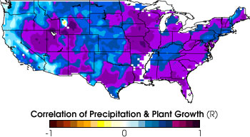 Map of Coorelation Coefficient between Precipitation and Plant Growth