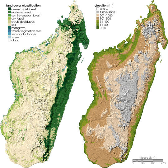 Maps of land cover classification and topography