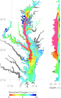 Map of dissolved oxygen in the Chesapeake Bay, late July 2004