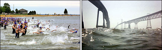 Photographs of the Chesapeake Bay swim