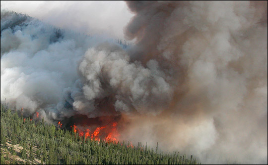 Aerial photograph of the Deer Creek Fire, Alaska, 2004