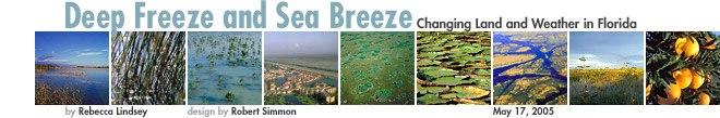 Deep Freeze and Sea Breeze: Changing Land and Weather in Florida