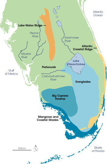 Map of physical geography of southern Florida