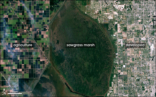 Landsat image of land cover types in Florida