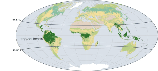 Map of tropical forests