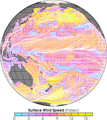 Map of Ocean Winds in the Pacific Ocean