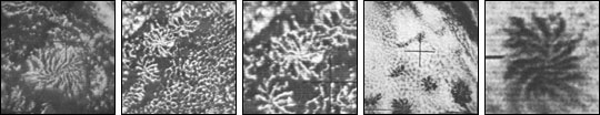 Thumbnails of TIROS satellite images