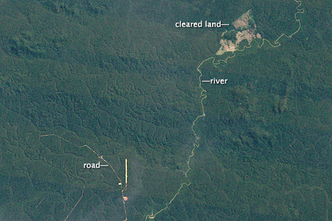 Satellite image of Rondonia, Brazil; June 17, 1984.