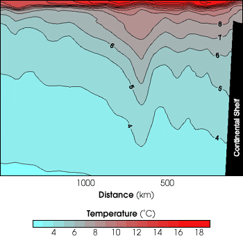 Eddy Temperature Profile