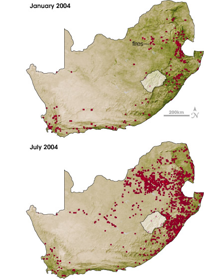 Maps of vegetation and fires in South Africa in January and July, 2004