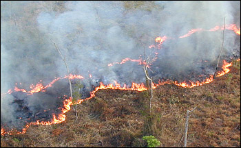Photograph of fire smouldering in the Mirador Basin, Guatemala