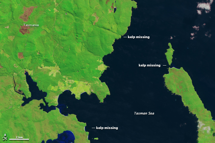 2014 Landsat