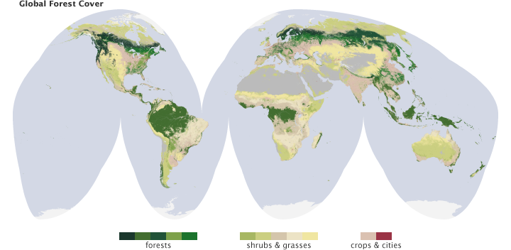 Map of global forest cover.