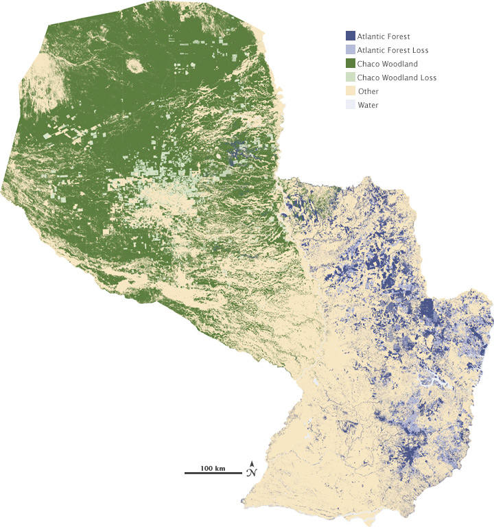 Map of forest cover change in Paraguay from 1990 to 2000.