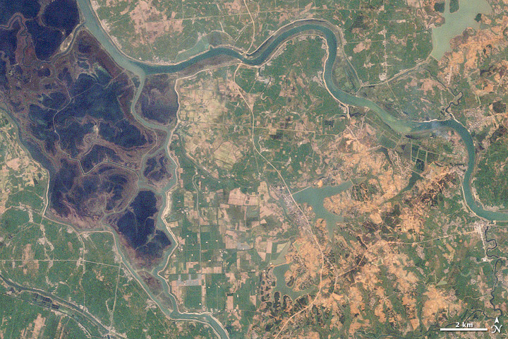 atellite image of rice paddies near Poyang Lake, China.