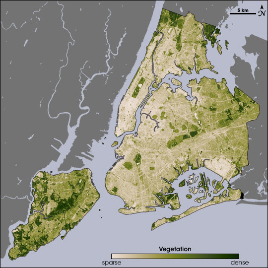 New York vegetation measured by Landsat, August 14, 2002