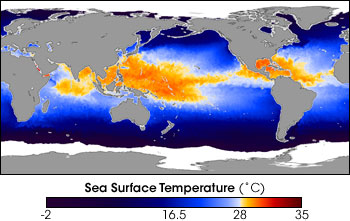 AMSR-E sea surface temperatures