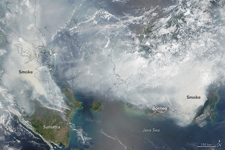 MODIS image of smoke over Sumatra and Borneo