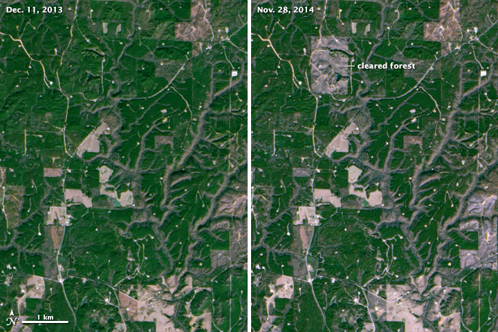 Landsat image of forest clearing in Alabama.