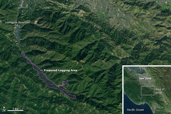 Landsat image of the area where a logging initiative was proposed - and shot down.