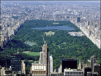 Aerial photo of a city park