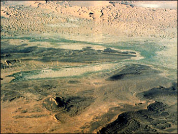 A Wadi
Filled With Vegetation Seen from the Air