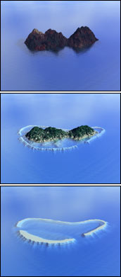 Illustration of Island Evolution